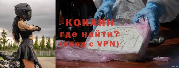 сатива Белокуриха
