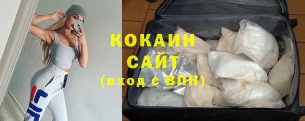 сатива Белокуриха