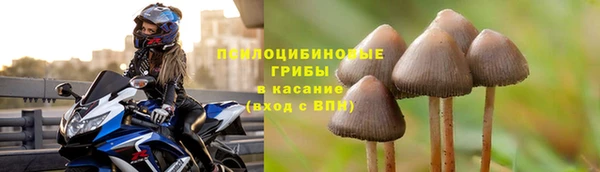 соль курить ск Беломорск