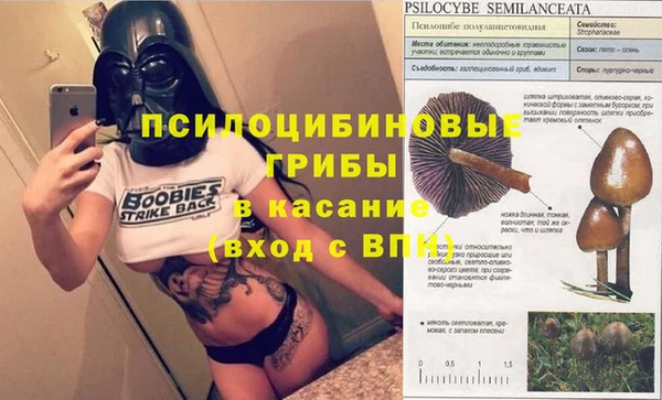 apvp Белоозёрский