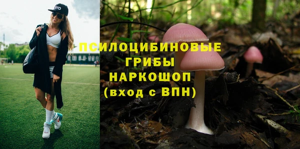 сатива Белокуриха