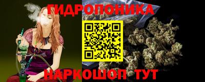 спайс Кинель