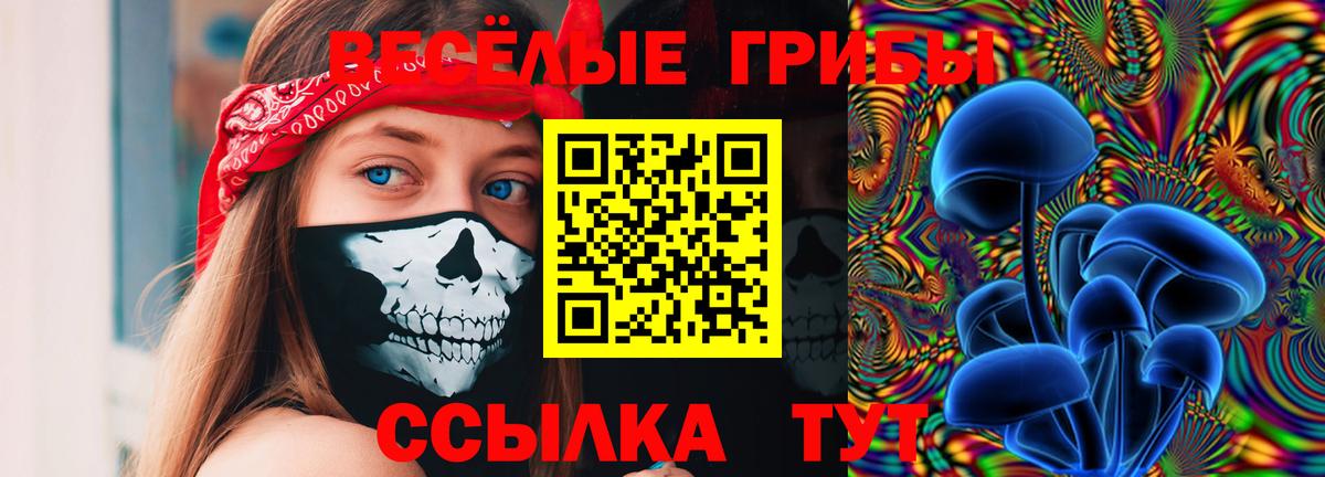 Галлюциногенные грибы ЛСД Острогожск