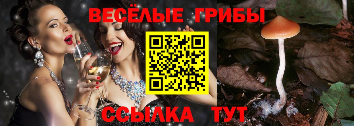 наркошоп  Псилоцибиновые грибы Psilocybine cubensis  Вход с VPN  Острогожск 